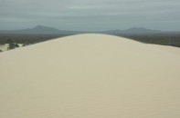 Duny v Fitzgerald River NP